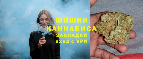 mix Богородск