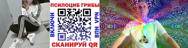 как найти   Нахабино  Галлюциногенные грибы GOLDEN TEACHER 